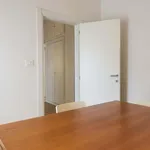 Rent 4 bedroom apartment of 100 m² in Florence