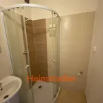 Rent 3 bedroom apartment of 50 m² in Ostrava