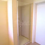 Rent 4 bedroom house in Lhota u Dolních Břežan