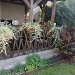 Rent 1 bedroom house in Trutnov