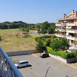 Rent 3 bedroom apartment of 72 m² in Roma