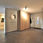 Hofdael, Geldrop - Amsterdam Apartments for Rent