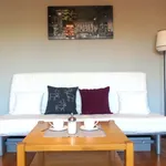 Rent 1 bedroom apartment of 41 m² in Prague