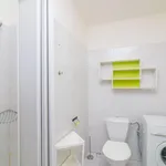 Rent 1 bedroom apartment in Prague