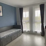 Rent 2 bedroom apartment of 59 m² in Poznan