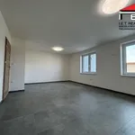 Rent 1 bedroom house of 122 m² in Frýdek-Místek