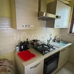 Rent 2 bedroom apartment of 62 m² in Nettuno