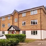 Rent 1 bedroom flat in Epping Forest