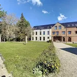 Rent 1 bedroom apartment in Tournai