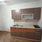 Rent 1 bedroom apartment of 30 m² in Frýdek-Místek