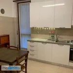 Rent 3 bedroom apartment of 110 m² in Milan