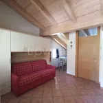 Rent 1 bedroom apartment of 20 m² in Ville di Fiemme