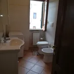 Rent 1 bedroom apartment of 75 m² in Rome