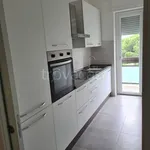 Rent 3 bedroom apartment of 90 m² in Cervia