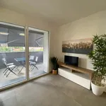 Rent 4 bedroom apartment in Bologna