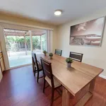 Rent 1 bedroom apartment in Sunnyvale