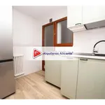 Alquilo 4 dormitorio apartamento de 145 m² en Alicante