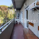 Rent 3 bedroom apartment of 91 m² in Rome