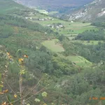 Rent 4 bedroom house of 90 m² in Asturias']