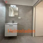 Rent 1 bedroom apartment of 29 m² in Havířov