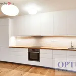 Rent 3 bedroom apartment of 98 m² in Praha