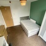 Rent 7 bedroom flat in Wales