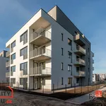 Rent 2 bedroom apartment in Rychnov nad Kněžnou