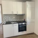 Rent 2 bedroom apartment of 50 m² in Roma