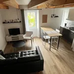 Appartement de 35 m² avec 1 chambre(s) en location à Guipavas