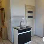 Rent 1 bedroom apartment of 40 m² in Grudziądz