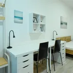 Rent 1 bedroom apartment in Brno