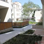 Pronajměte si 1 ložnic/e byt o rozloze 40 m² v Prague