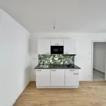 Rent 2 bedroom apartment of 48 m² in Prague