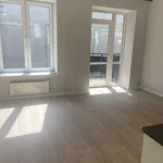 Rent 2 bedroom apartment of 48 m² in Oslo