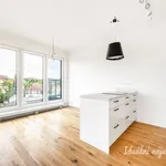 Pronajměte si 3 ložnic/e byt o rozloze 97 m² v Prague