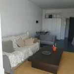 Rent 1 bedroom apartment in Vari Municipal Unit