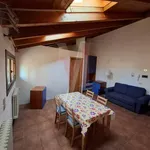 Rent 2 bedroom apartment of 46 m² in Bologna