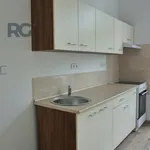 Rent 1 bedroom apartment of 30 m² in Milevsko