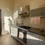 Rent 3 bedroom apartment of 100 m² in Alessandria