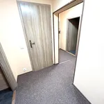 Rent 1 bedroom apartment in Praha 4