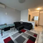 Rent 2 bedroom apartment of 80 m² in Milano