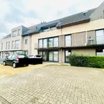 Huur 2 slaapkamer appartement van 89 m² in Zulte