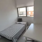 Rent a room in valencia