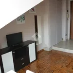 Rent 1 bedroom apartment of 30 m² in Turin