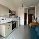 Rent 2 bedroom apartment of 50 m² in Turin