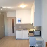 Rent 1 bedroom apartment of 30 m² in Praha