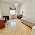 Rent 4 bedroom apartment of 110 m² in Campobasso