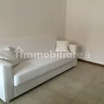 Rent 3 bedroom apartment of 60 m² in Bologna