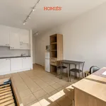 Rent 1 bedroom apartment in Leuven