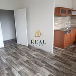 Rent 1 bedroom apartment in Most